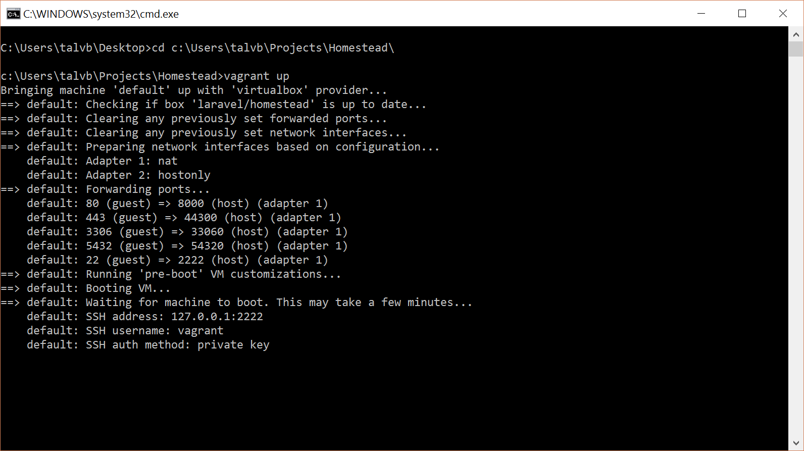 03.starting-vagrant.png